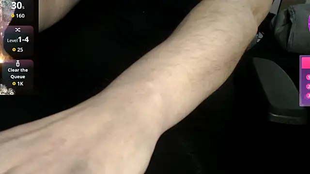 RealMaxAlpine Webcam show