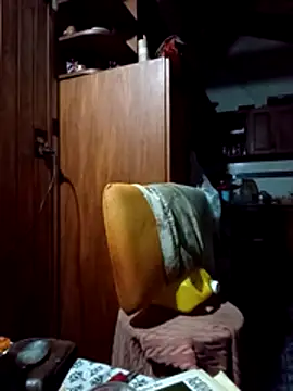 Show webcam de Toro18x4