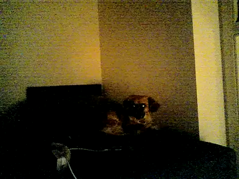 SirNefastus Webcamshow