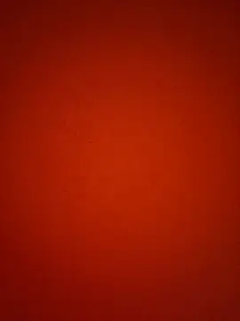 RippedGuy 网络视讯表演