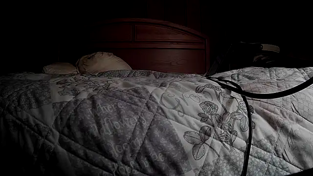 Show webcam de mms1316