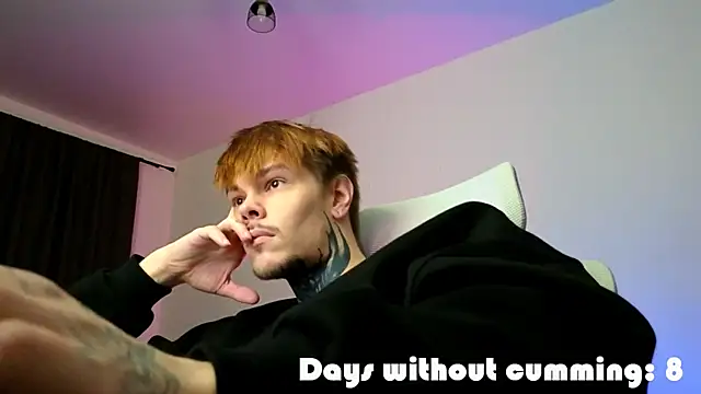 Show webcam de DENIS_HERE