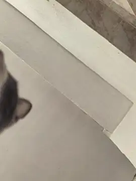 Yucsingl1 – Naživo XXX chat