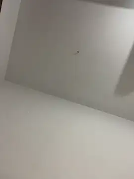 Chat XXX ao vivo de baddieasiantv