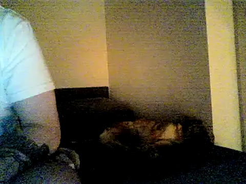 SirNefastus – Kamerová šou