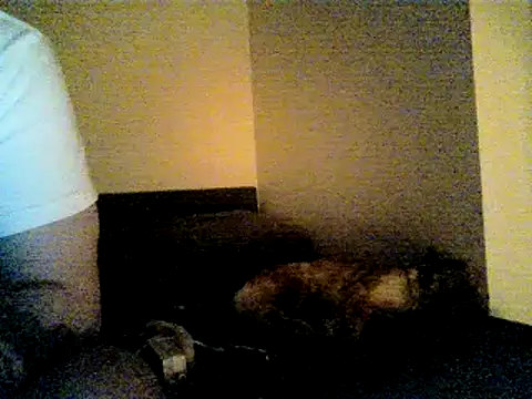 SirNefastus élő XXX-chatje