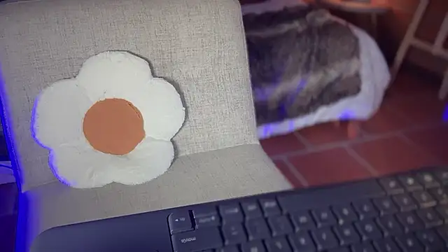 RouseColins 라이브 XXX 채팅