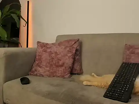 abbey_all's Live XXX Chat