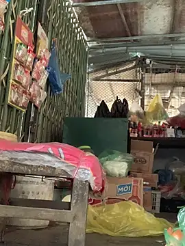 Chat XXX en directo de BellaCherishDarling