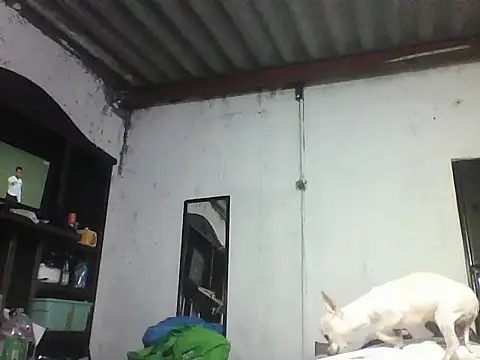 Mich76 Adlı Modelin Canlı XXX Sohbeti