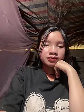 beobeo_2xx 网络视讯表演