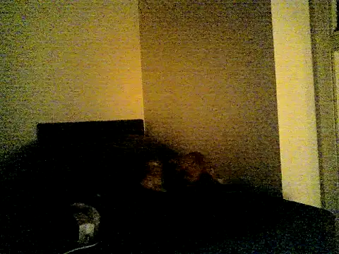 SirNefastus webcam show