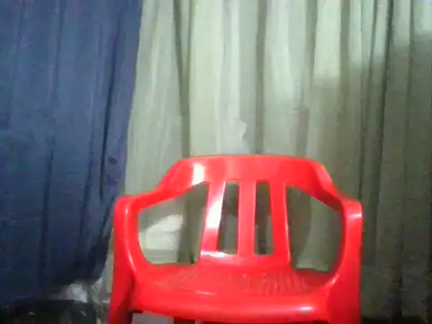 Conorleeのウェブカメラショー