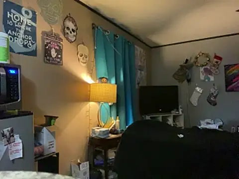 denverfwb Show Webcam