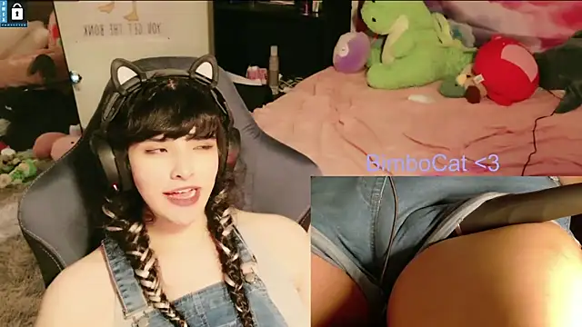 BimboCat: вебкам-шоу