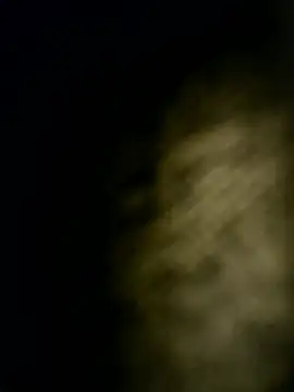 عرض كام zxc9090zxc