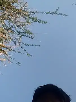 Pertunjukan Kamera Web lovesuna