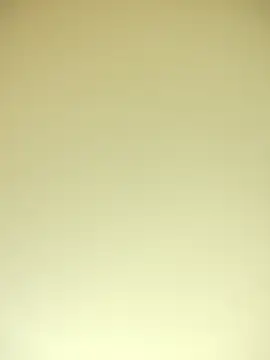 TheDime's Live XXX Chat