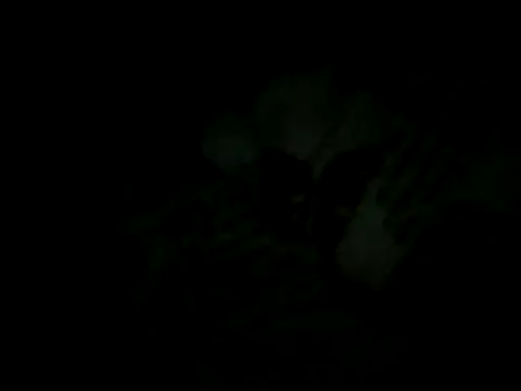 cabecaoegreluda: онлайн-секс-чат