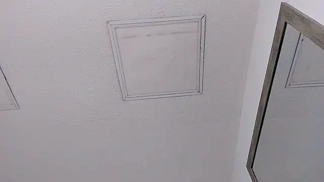 Tyler_durten: вебкам-шоу