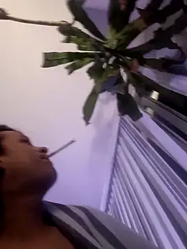 Kvl29 – Kamerová šou