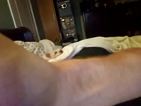 XXX chat uživo modela ThatPlatinumD