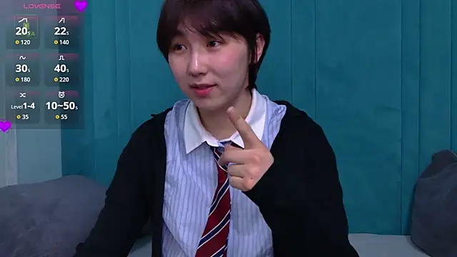 Show webcam de HeejinWang