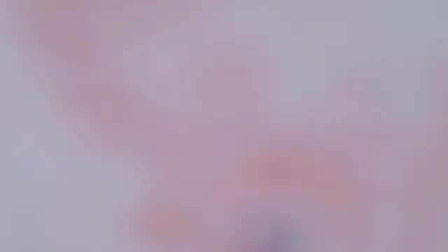 yang-yang-yang Show Webcam