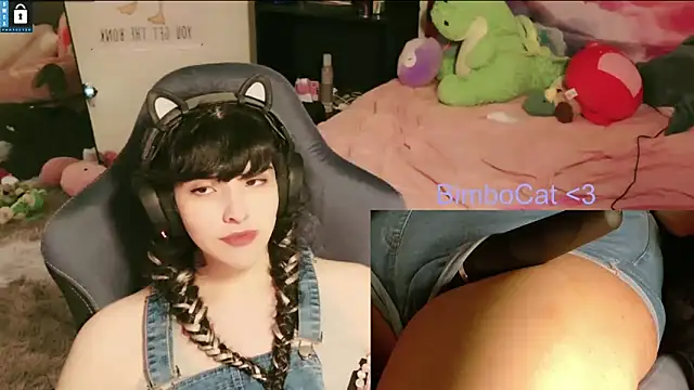 BimboCat webkamerás műsora