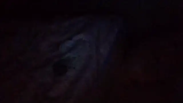 starlight1983 Live XXX-Chat