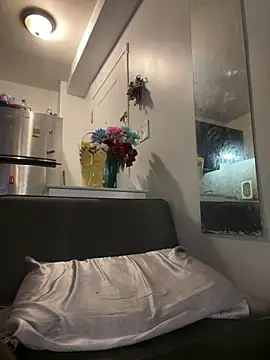 Show Webcam de littyleesh1