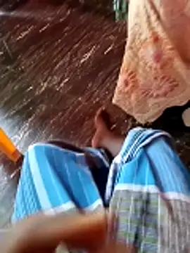 dolphiinn ওয়েবক্যাম শো