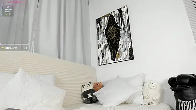 Sett_artのウェブカメラショー