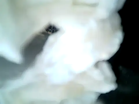 Webkamerová show SirNefastus