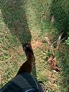 dolphiinn's Webcam Show