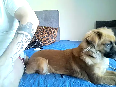 Show modela SirNefastus na web-kameri