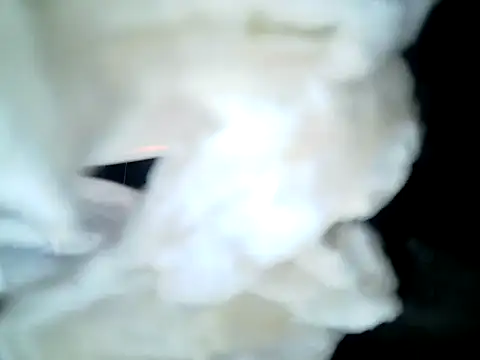 Show modela SirNefastus na web-kameri