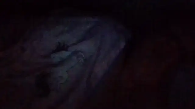 starlight1983 Live XXX Chat