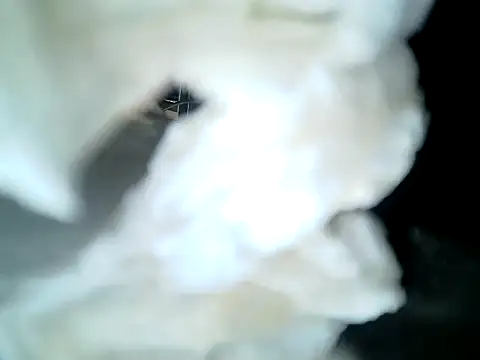 SirNefastus – Kamerová šou