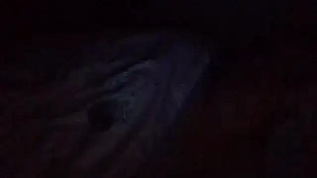 Онлайн чат XXX starlight1983