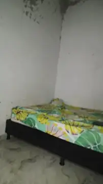 David_tatto1 – Live XXX-chat