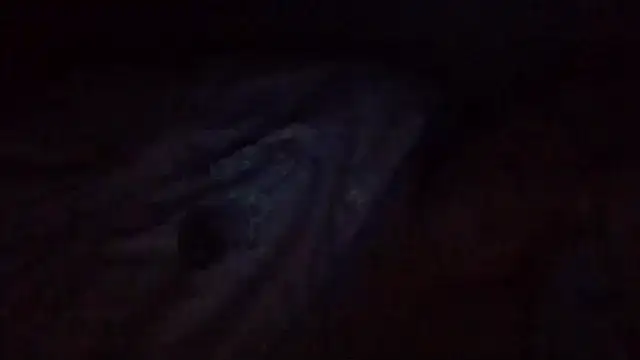 starlight1983 – Live XXX-chat