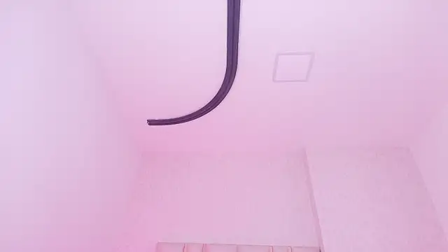 _carolina_fox – Live XXX-chat