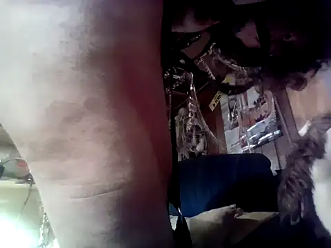 OldManOnline's Webcam Show