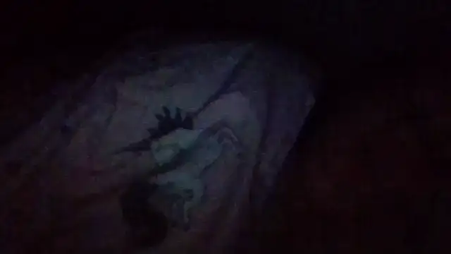 starlight1983 Live XXX-Chat