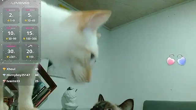 ZoeBakers_ 现场XXX聊天