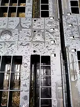 Show webcam de Hgay6935