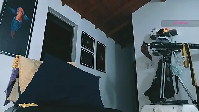 Show de webcam de SilvaBranko