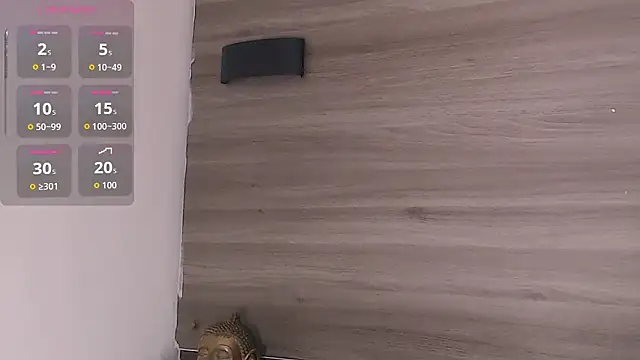 Show de SashaNova na webcam