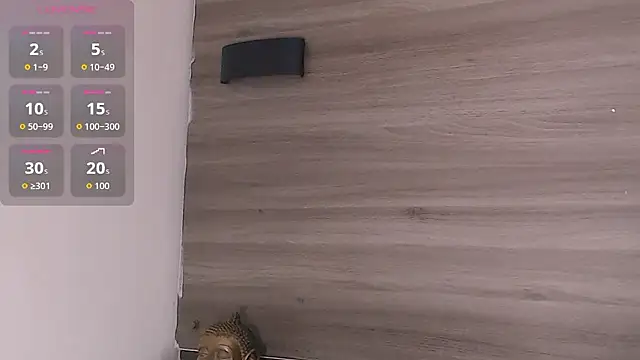 Show modela SashaNova na web-kameri